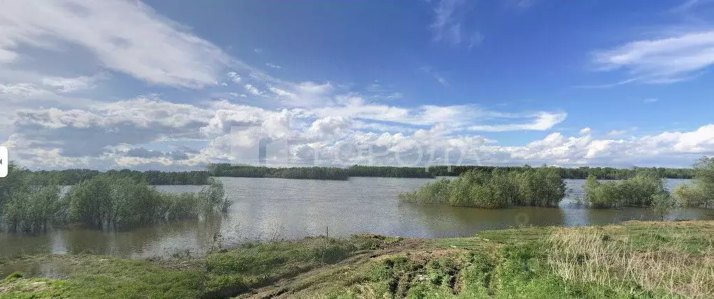 Участок в Новосибирская область, Мошковский район, д. Умрева  (1300.0 ... - Фото 1