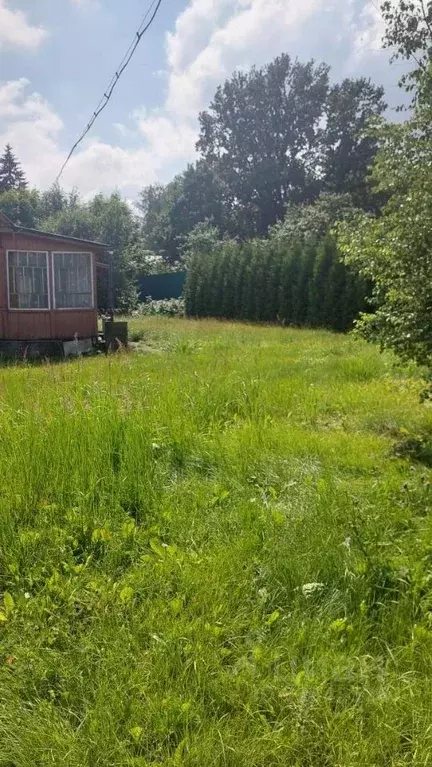 Участок в Москва Кокошкино дп, ул. Пушкина (11.0 сот.) - Фото 2