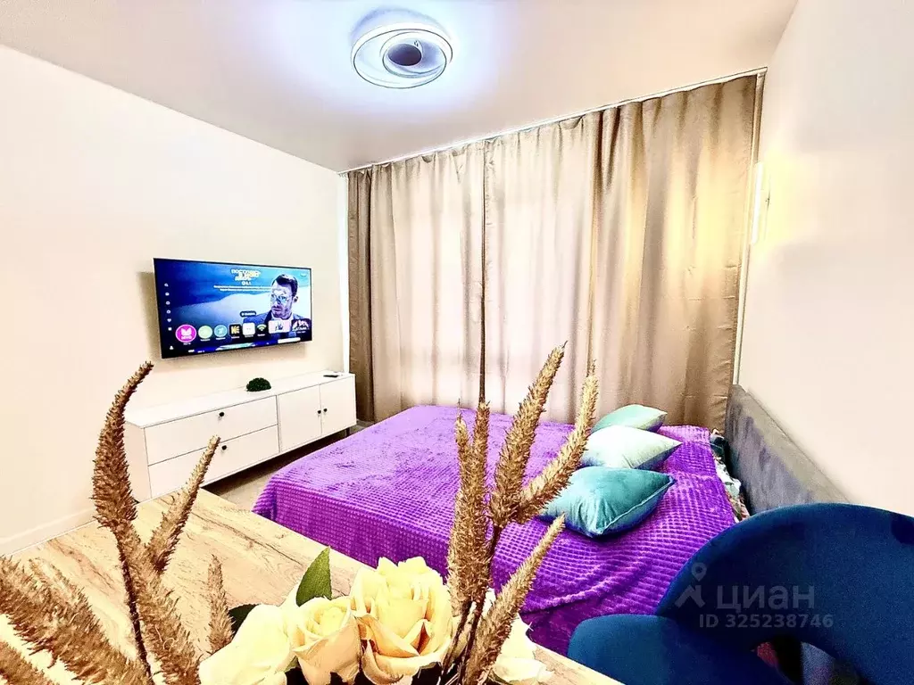 Студия Московская область, Одинцово ул. Березовая, 1 (27.0 м) - Фото 2