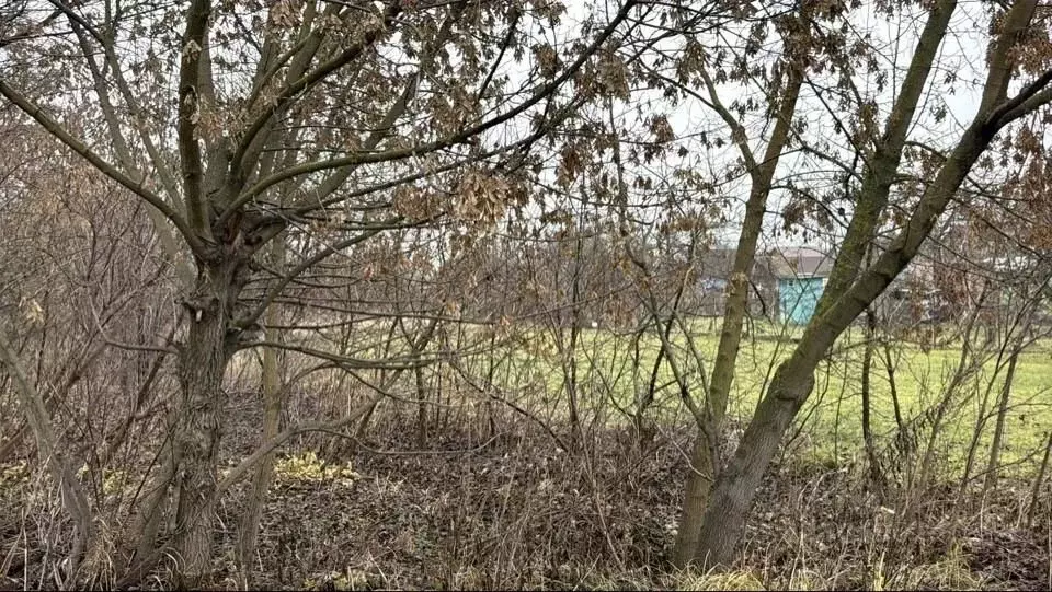 Участок в Московская область, Кашира городской округ, д. Зубово ул. 30 ... - Фото 1