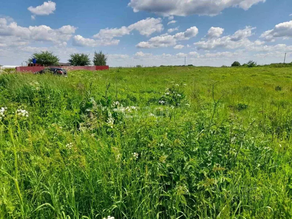 Участок в Брянская область, Брянский район, Чернетовское с/пос, д. ... - Фото 1