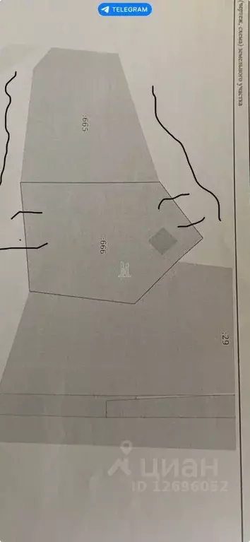 Участок в Ленинградская область, Приозерский район, Петровское с/пос, ... - Фото 2