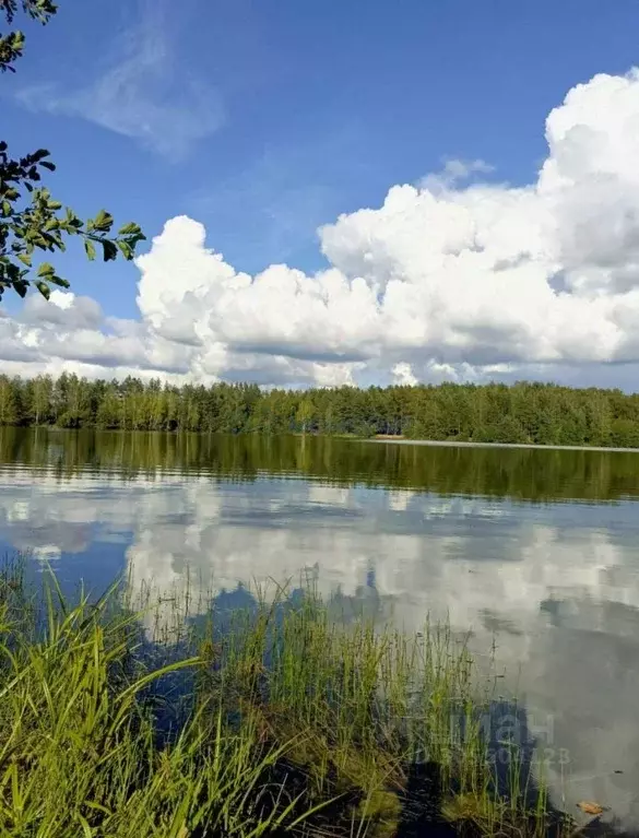 Дом в Нижегородская область, Володарский муниципальный округ, д. ... - Фото 1