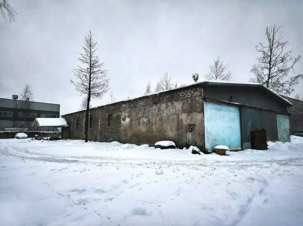 Помещение свободного назначения в Санкт-Петербург Бестужевская ул., ... - Фото 2