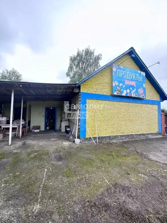 Торговая площадь в Омская область, Омский район, Чернолучинский дп ... - Фото 2