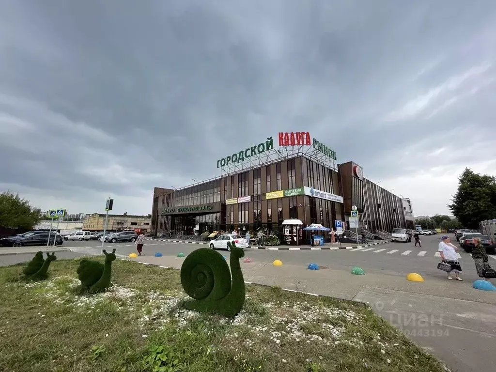 Торговая площадь в Калужская область, Калуга ш. Грабцевское, 4Б (1000 ... - Фото 0