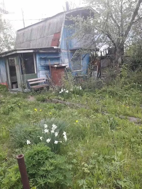 Дом в Свердловская область, Екатеринбург Химик СНТ,  (40 м) - Фото 1