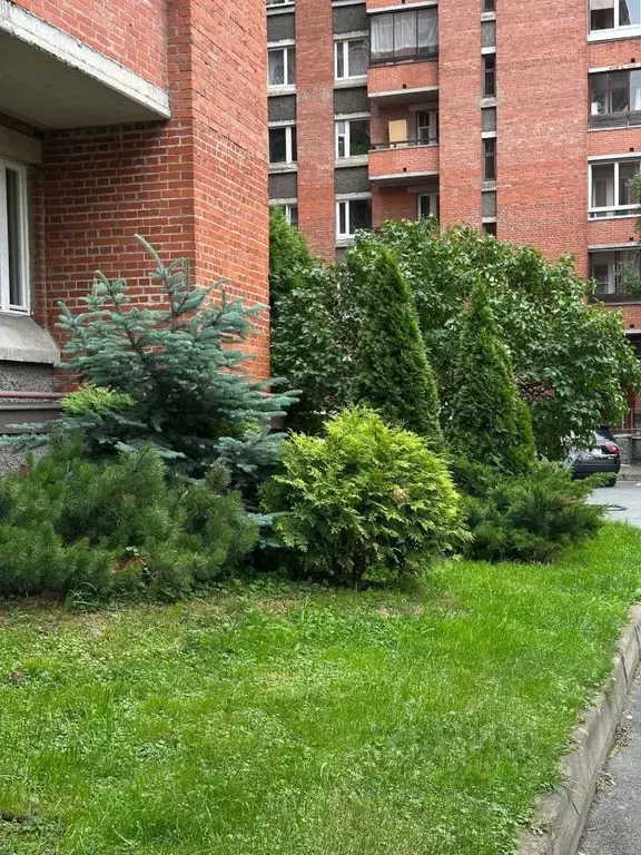 2-к кв. Санкт-Петербург ул. Рашетова, 6 (77.7 м) - Фото 1