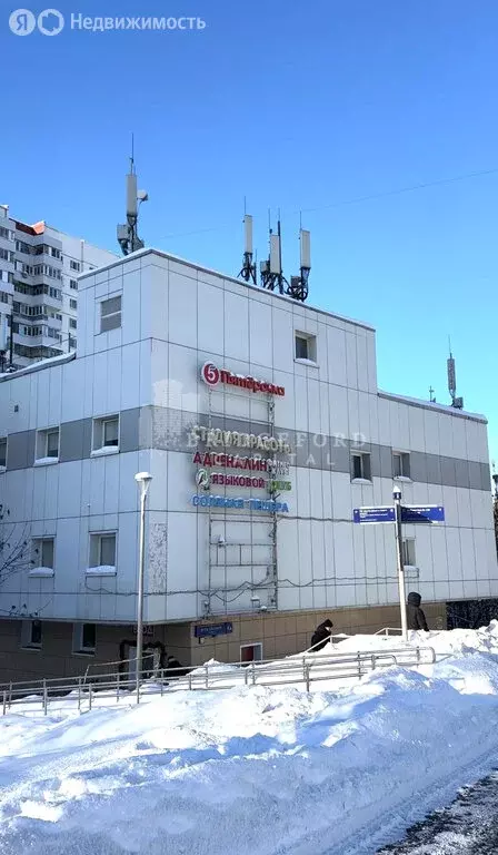 Помещение свободного назначения (63 м) - Фото 2