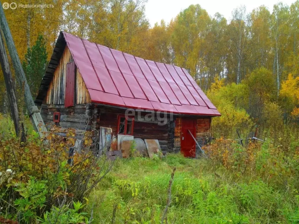 Дом в Болотнинский район, садоводческое некоммерческое товарищество ... - Фото 1