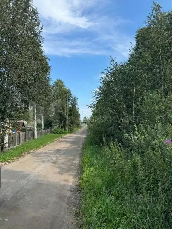 Участок в Тюменская область, Нижнетавдинский район, Моторостроитель ... - Фото 1