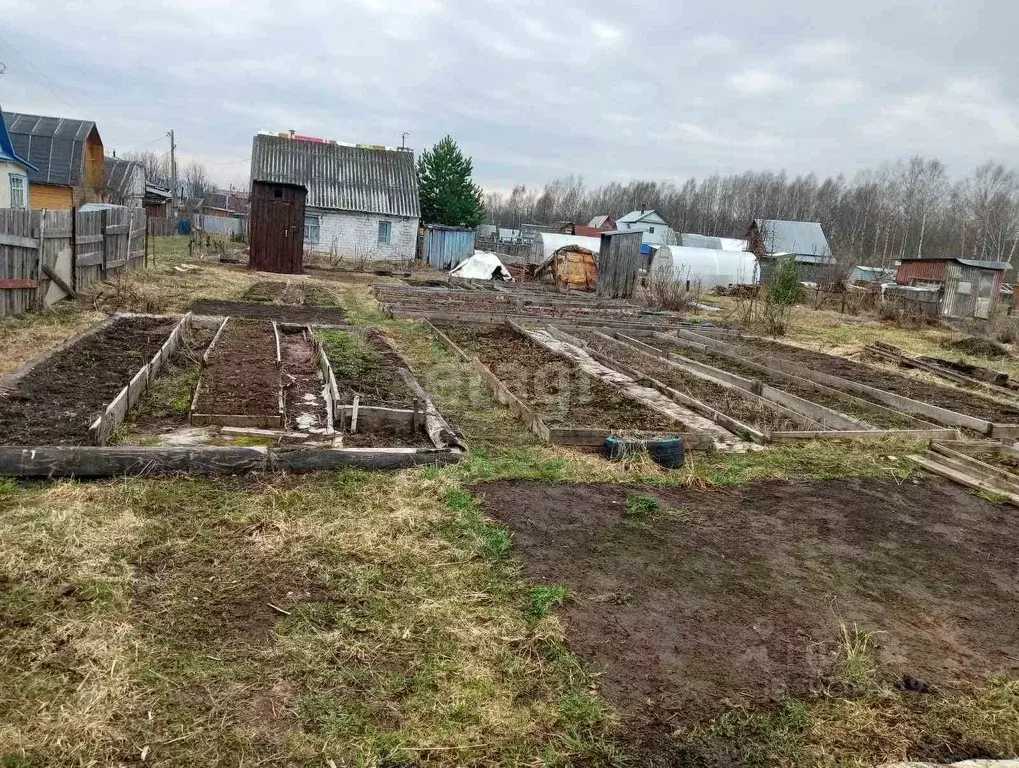 Дом в Пермский край, Очерский городской округ, д. Березники 35 (19 м) - Фото 0