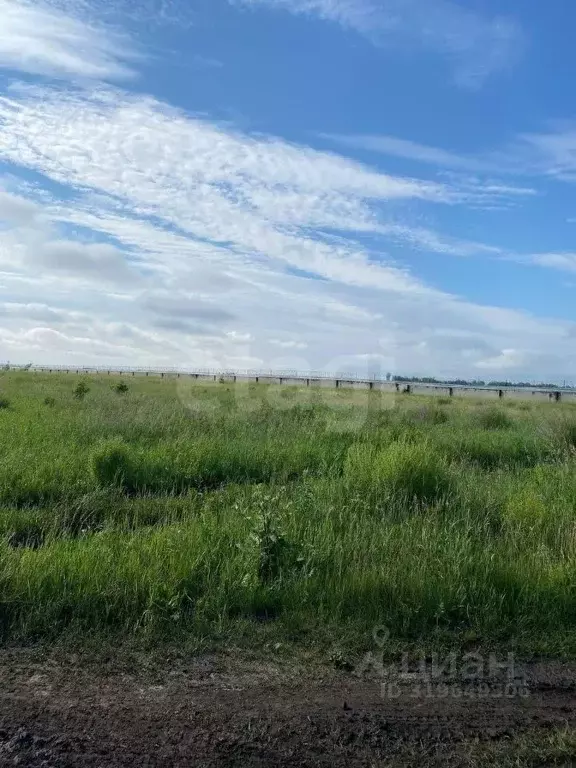 Участок в Тюменская область, Тюмень Плодовое СНТ,  (6.2 сот.) - Фото 0