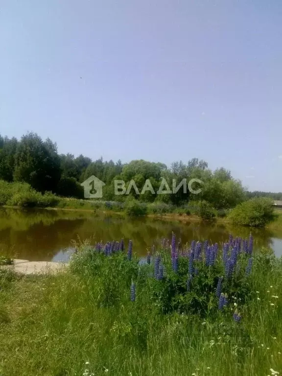Участок в Владимирская область, Судогодский район, Головинское ... - Фото 0
