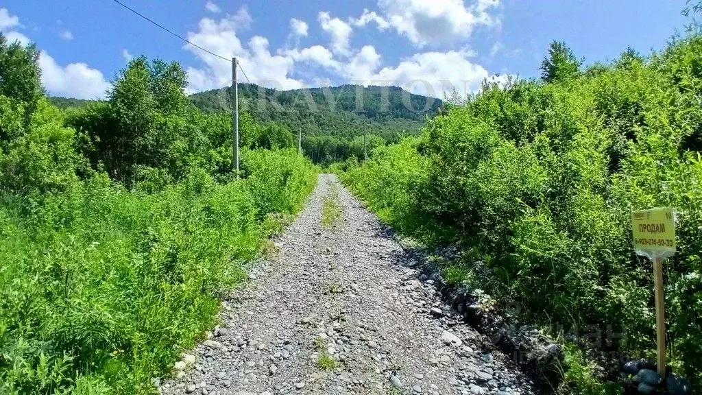 Участок в Алтай, Майминский район, Манжерокское с/пос, с. Озерное ул. ... - Фото 2