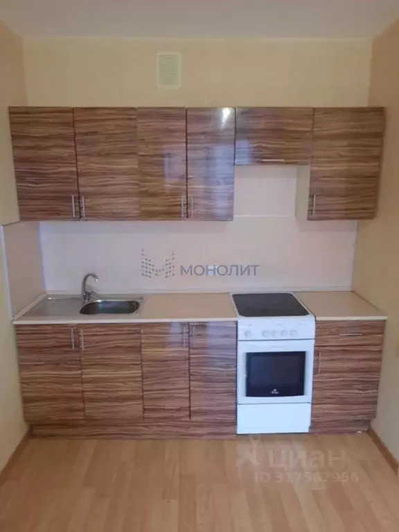 1-к кв. Нижегородская область, Нижний Новгород д. Анкудиновка, ул. ... - Фото 1