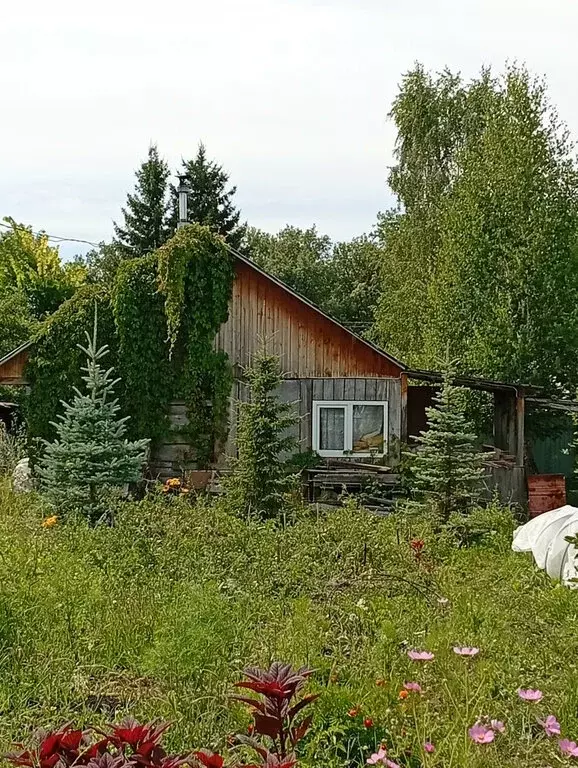 Дом в Красный Яр, СНТ Дуслык (43 м) - Фото 0