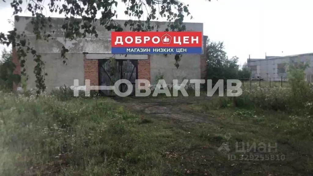 Помещение свободного назначения в Омская область, Горьковское рп ул. ... - Фото 2