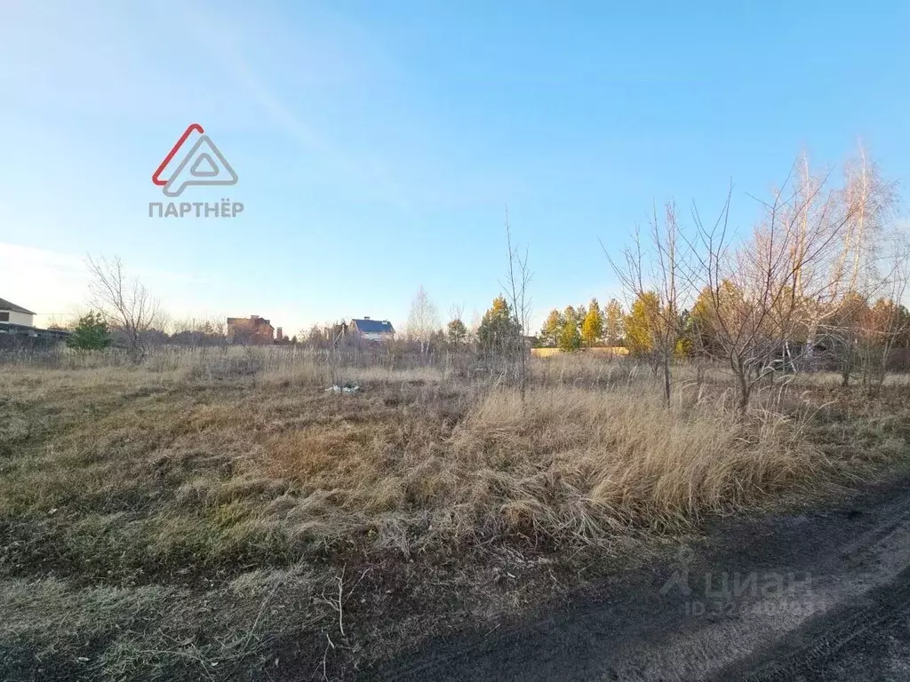 Участок в Ульяновская область, Мелекесский район, Старосахчинское ... - Фото 2