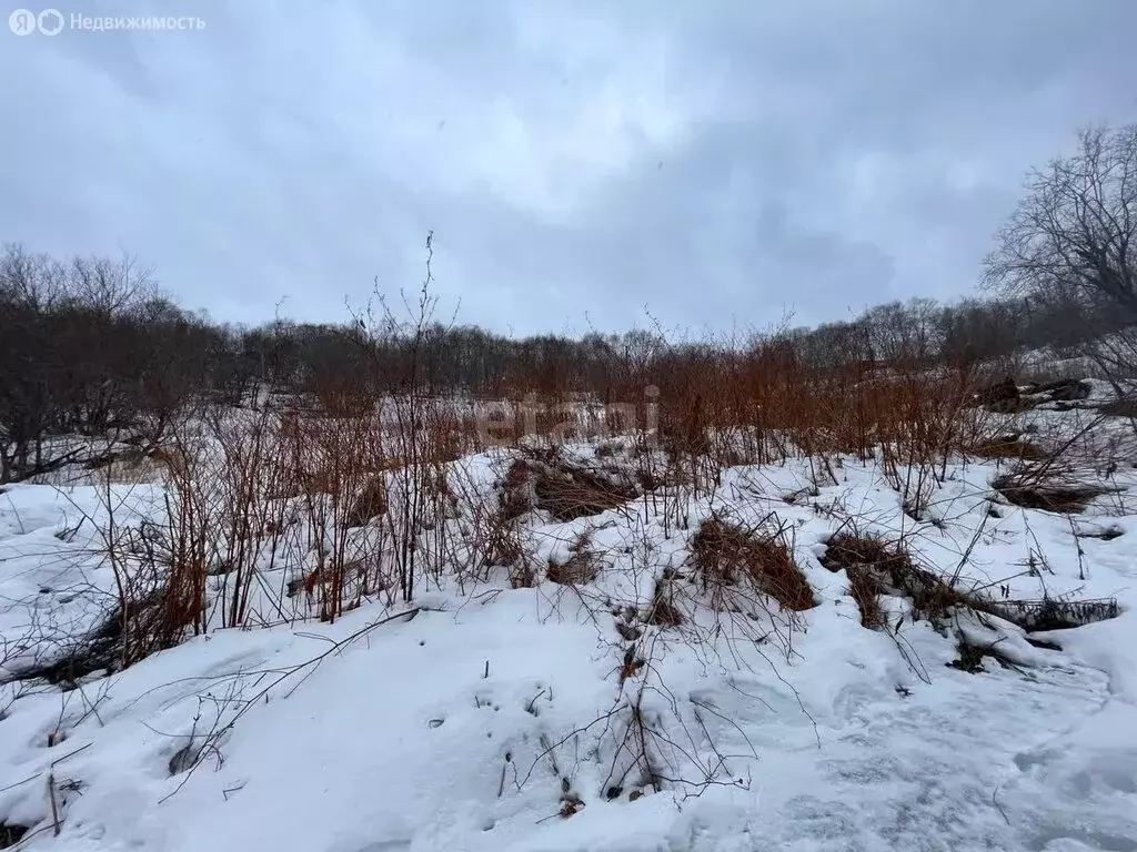Участок в Петропавловск-Камчатский, Горная улица (10 м) - Фото 1