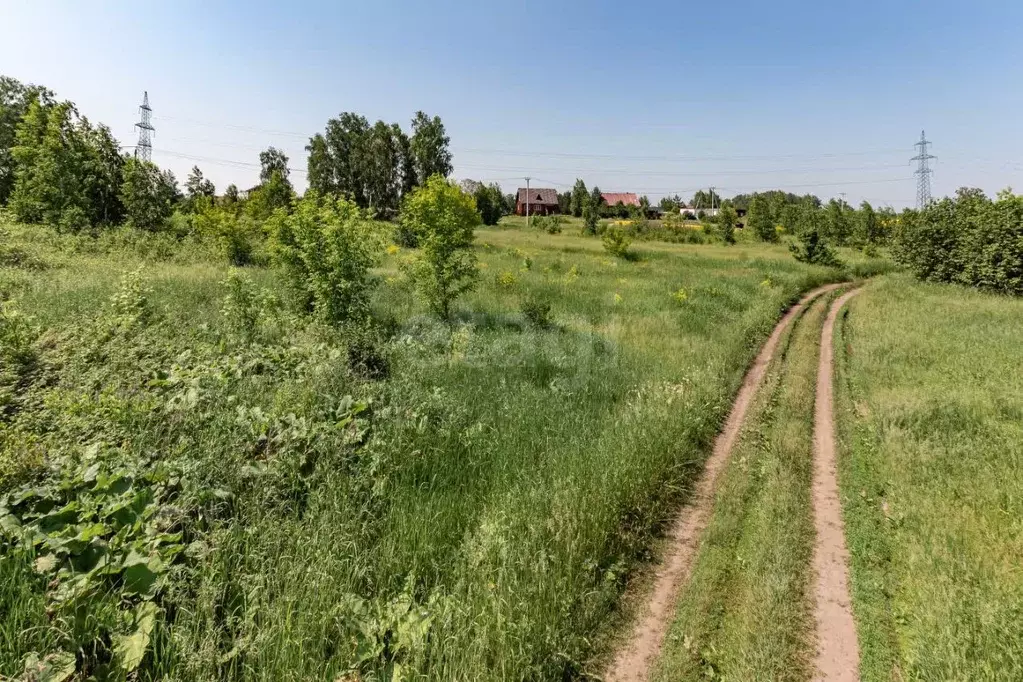 Участок в Алтайский край, Первомайский район, с. Санниково, Овощевод ... - Фото 1