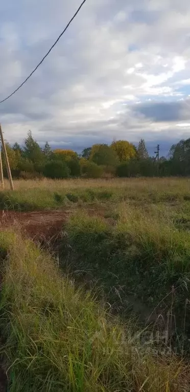 Участок в Ленинградская область, Волховский район, Вындиноостровское ... - Фото 1