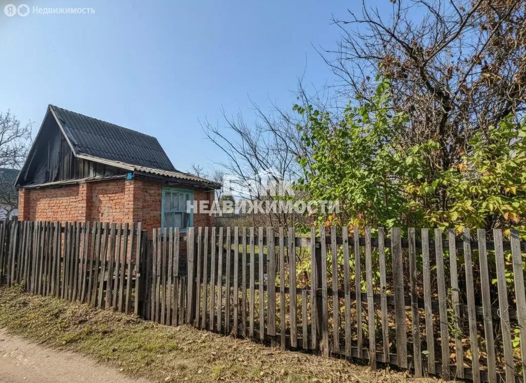 Участок в Быково-Отрогское муниципальное образование, СНТ Химик-2, 2-я ... - Фото 2