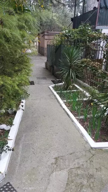 4-к кв. Крым, Ялта ул. Чехова, 19 (80.0 м) - Фото 1