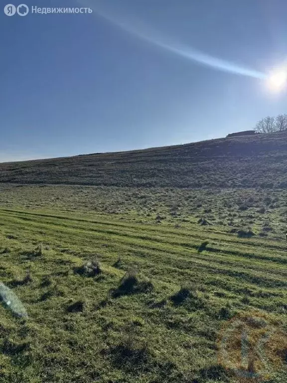 Участок в Трудовское сельское поселение, село Строгоновка (10 м) - Фото 1