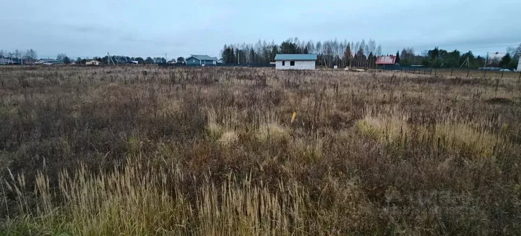 Участок в Московская область, Рузский муниципальный округ, д. Горки  ... - Фото 1