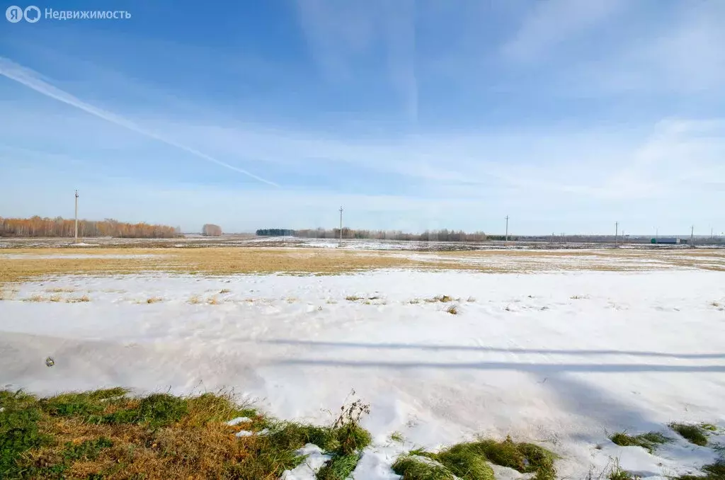 Участок в Исетский район, автодорога Курган - Тюмень, 122-й километр ... - Фото 0