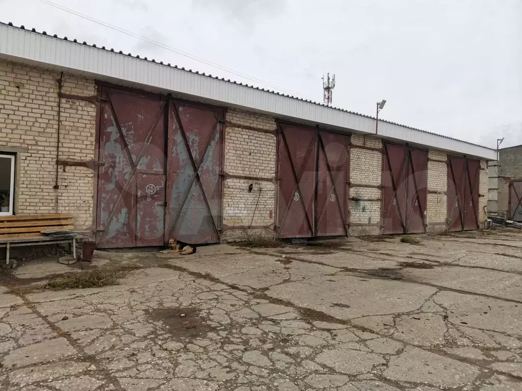 Склад новочебоксарск. Промышленная 41 новочебоксарск.