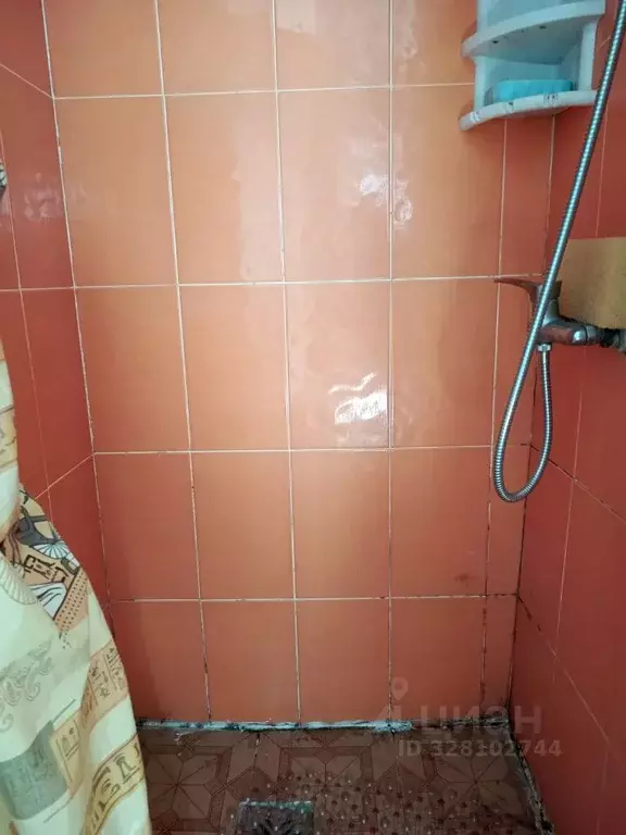 1-к кв. Нижегородская область, Бор ул. Чугунова, 12 (12.7 м) - Фото 1