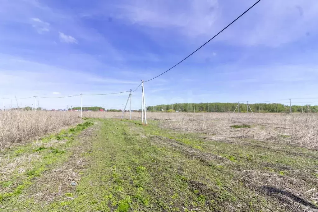 Участок в Тюменская область, Тюменский муниципальный округ, ... - Фото 1