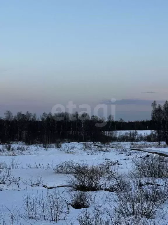 Участок в Московская область, Дмитровский муниципальный округ, д. ... - Фото 2