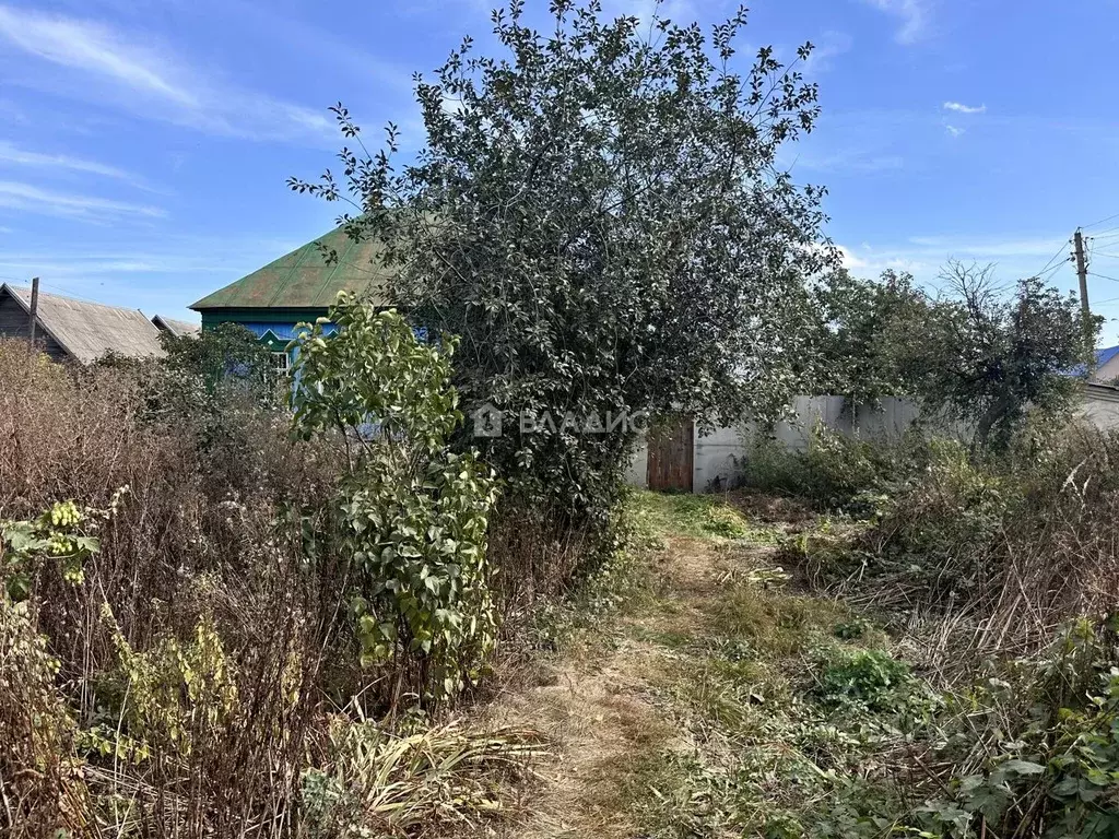 Участок в Пензенская область, с. Бессоновка ул. Центральная, 243 (18.5 ... - Фото 0