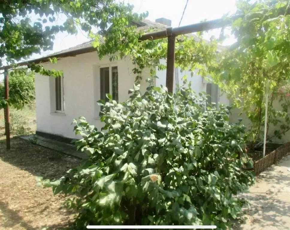 Дом в Крым, Сакский район, с. Веселовка ул. Новая, 65 (47 м) - Фото 1