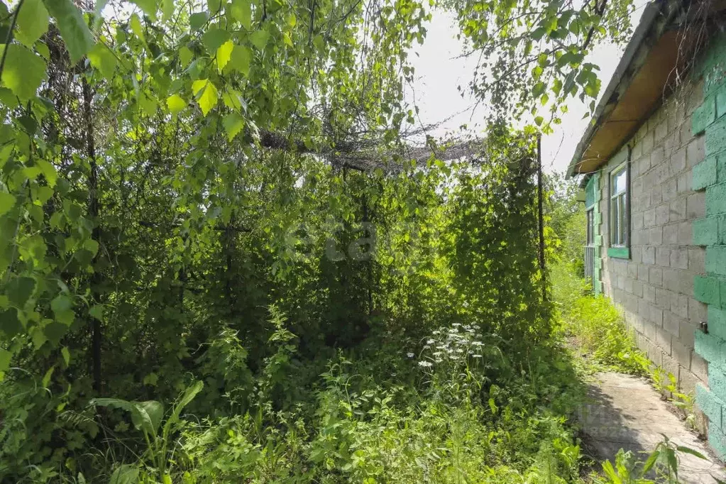 Дом в Омская область, Омск Содружество-2 СОСН, аллея 5-я (30 м) - Фото 0