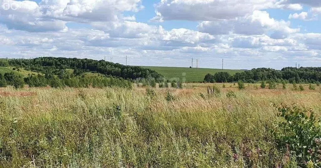 участок в деревня ясная поляна, кленовая улица (14.7 м) - Фото 1