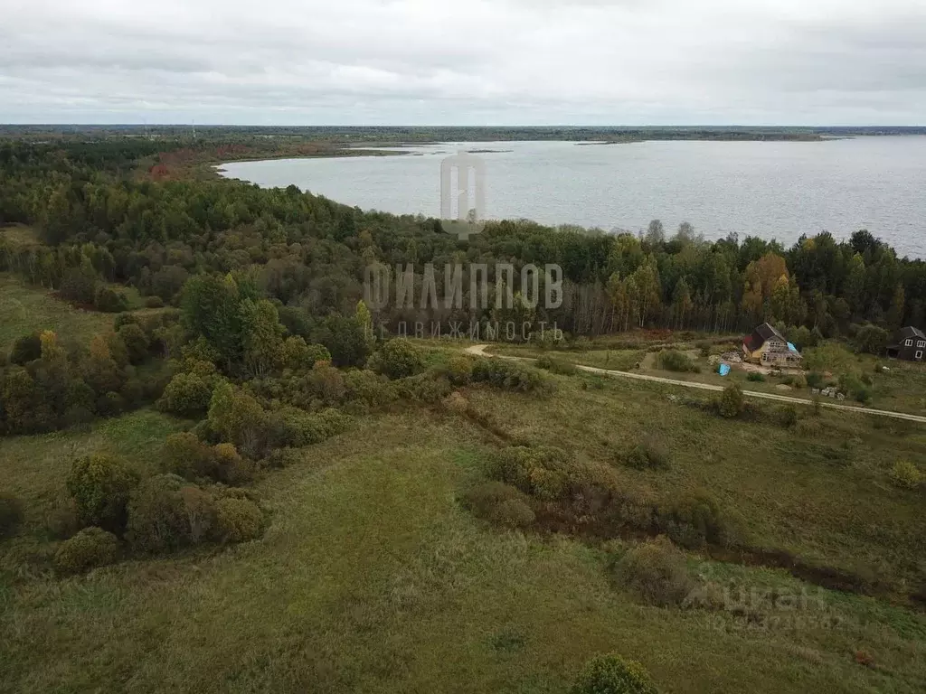 Участок в Новгородская область, Боровичский район, Железковское с/пос, ... - Фото 1