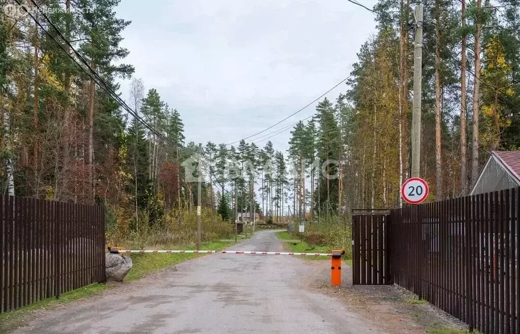 Участок в Выборгский район, Приморское городское поселение, посёлок ... - Фото 2