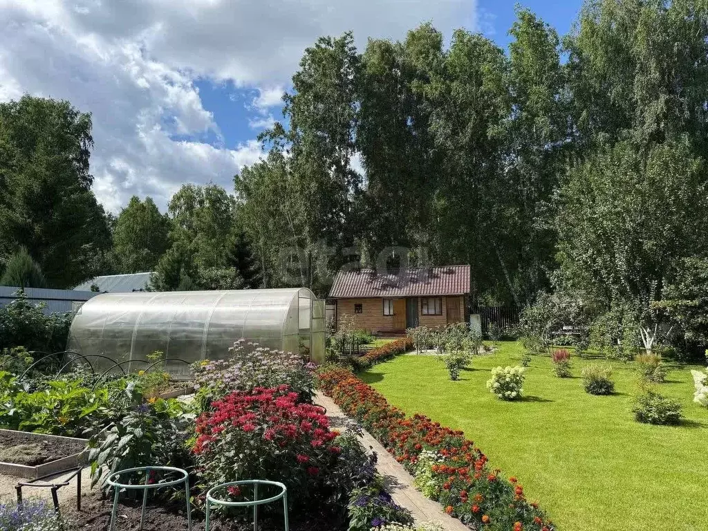 Участок в Тюменская область, Тюмень Сигнал садовое товарищество, туп. ... - Фото 1