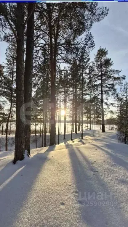 Участок в Нижегородская область, Навашинский муниципальный округ, с. ... - Фото 1
