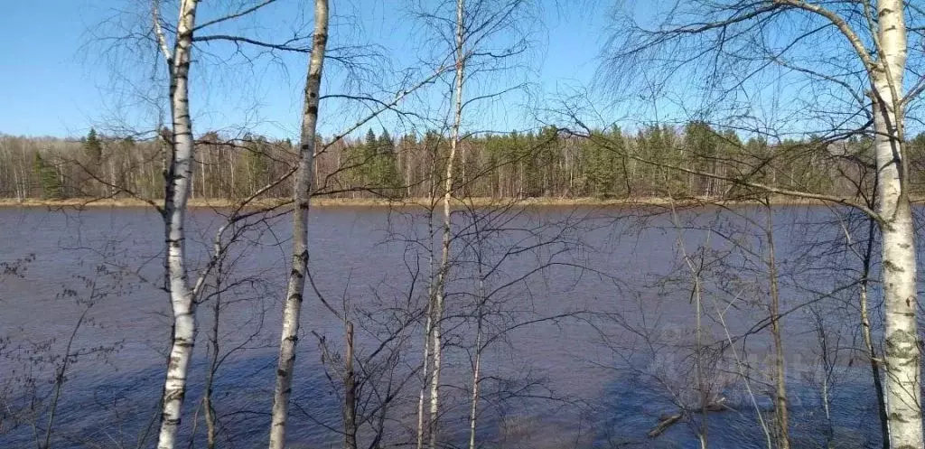 Коттедж в Нижегородская область, Воскресенский муниципальный округ, д. ... - Фото 0