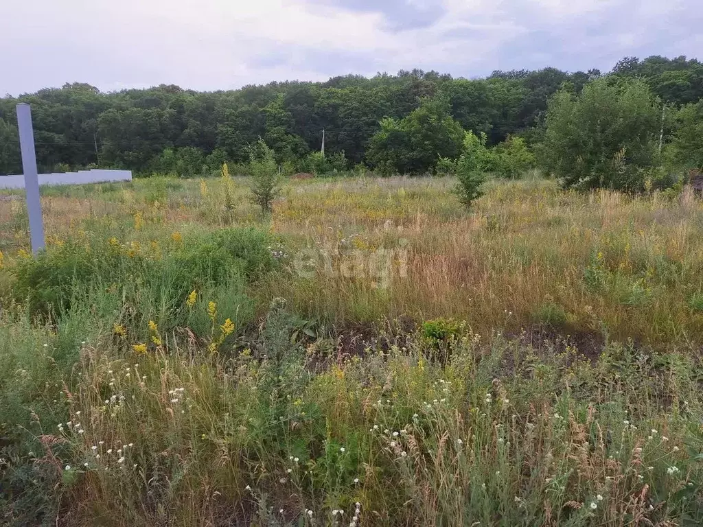 Участок в Саратовская область, Воскресенский район, Елшанское ... - Фото 2