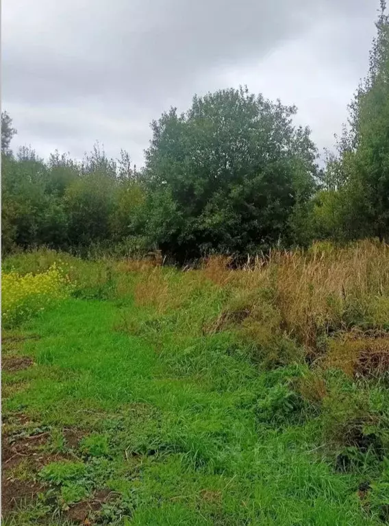 Участок в Московская область, Орехово-Зуевский городской округ, д. ... - Фото 1