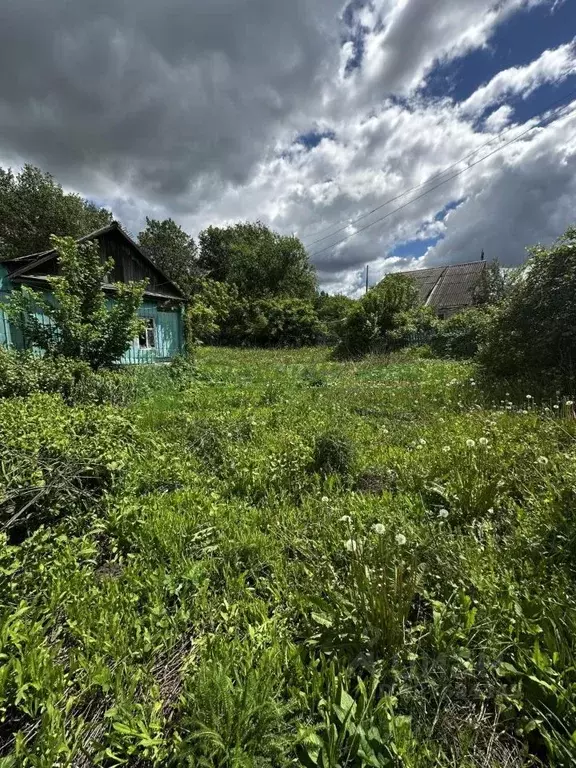 Участок в Саратовская область, Лысые Горы рп ул. Набережная (7.15 ... - Фото 2