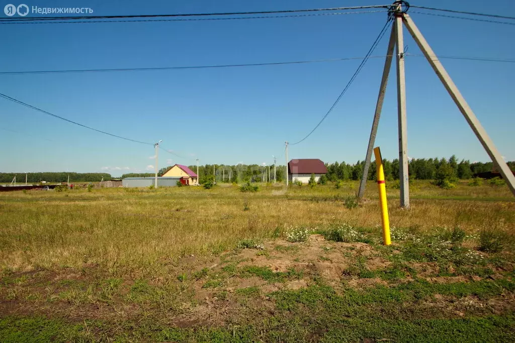 Участок в Тюменская область, Упоровский муниципальный округ, село ... - Фото 2