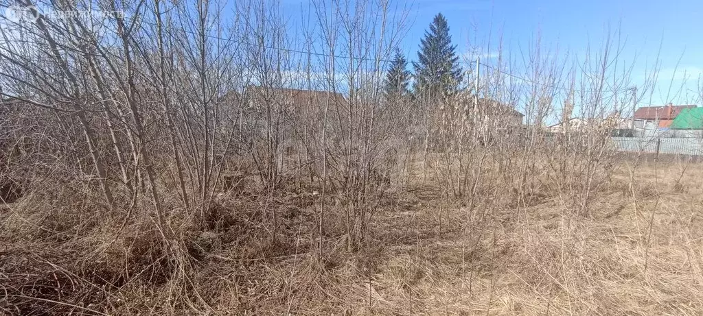 Участок в Самарская область, сельское поселение Красный Яр, село ... - Фото 2