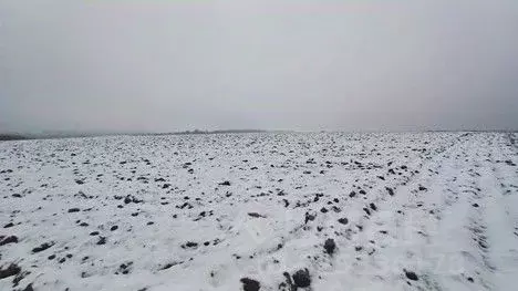 Участок в Московская область, Сергиево-Посадский городской округ, д. ... - Фото 2